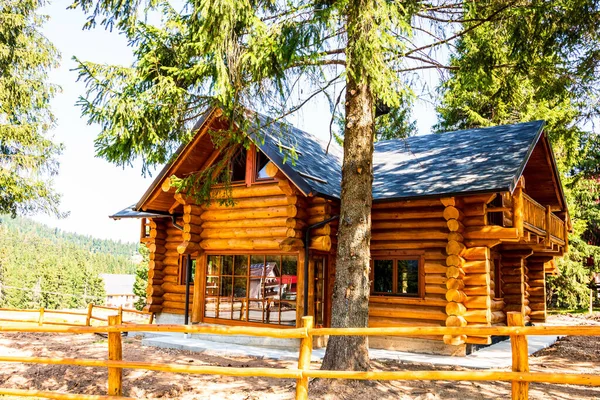 Une Maison Bois Sur Bord Une Forêt Vartop Roumanie — Photo