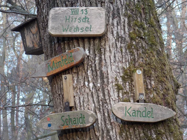 Detailní Záběr Německé Dřevěné Cedule Kmeni Stromu — Stock fotografie