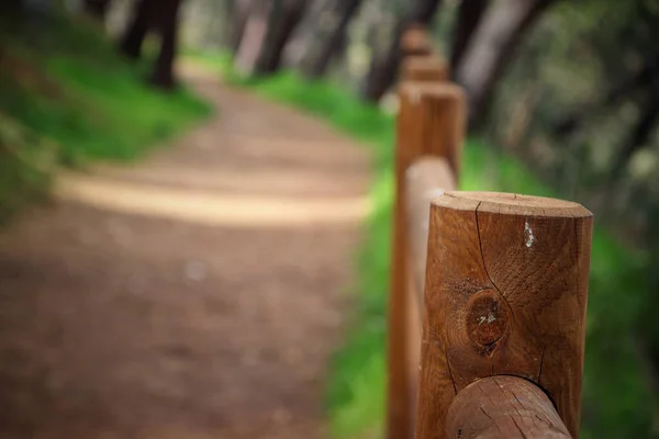 Una Messa Fuoco Selettiva Una Recinzione Legno Parco — Foto Stock