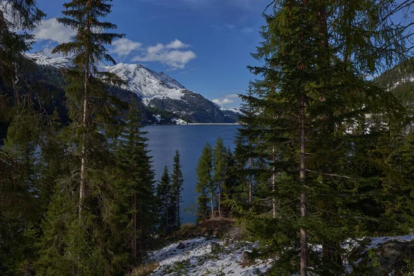 Primer Plano Bosque Con Lago Montañas Nevadas Fondo — Foto de Stock