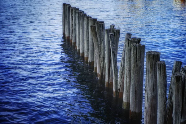 Primo Piano Una Fila Vecchi Pali Legno Nel Lago — Foto Stock