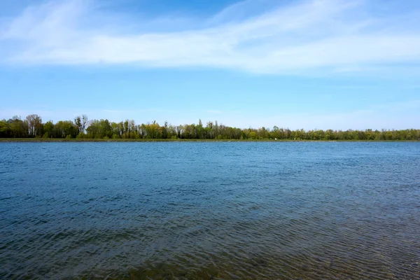 背景に木々が茂る青い空の下の穏やかな湖 — ストック写真