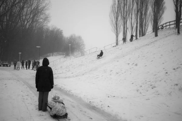 Zoetermeer Netherlands Feb 2021 Playing Snow Corona Pandamic Netherlands — Stock Photo, Image