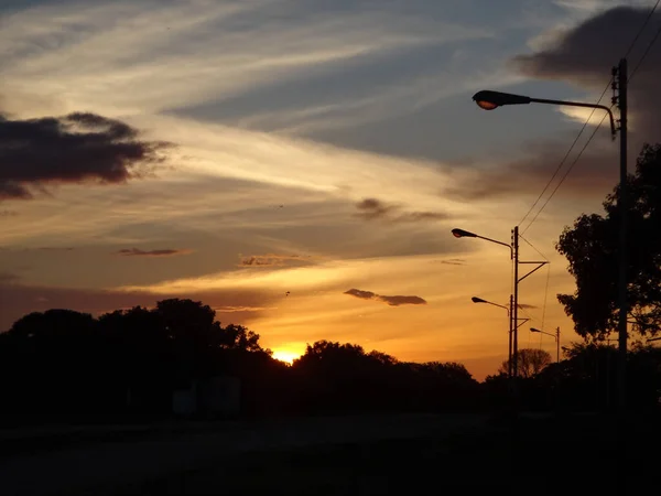 Une Vue Fascinante Troupeau Oiseaux Volant Contre Ciel Nuageux Coucher — Photo