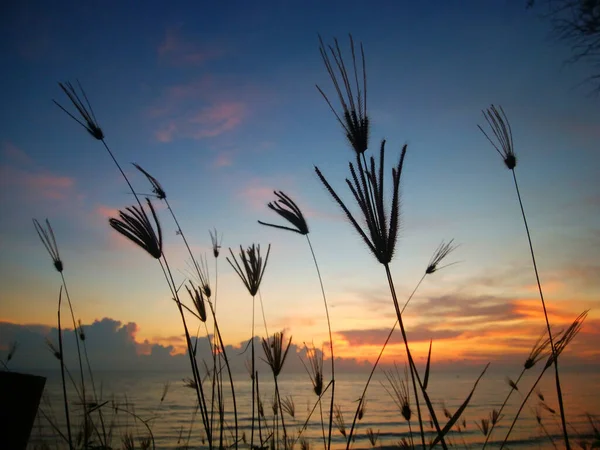 Великолепный Закат Над Спокойным Морем Видимый Берега — стоковое фото