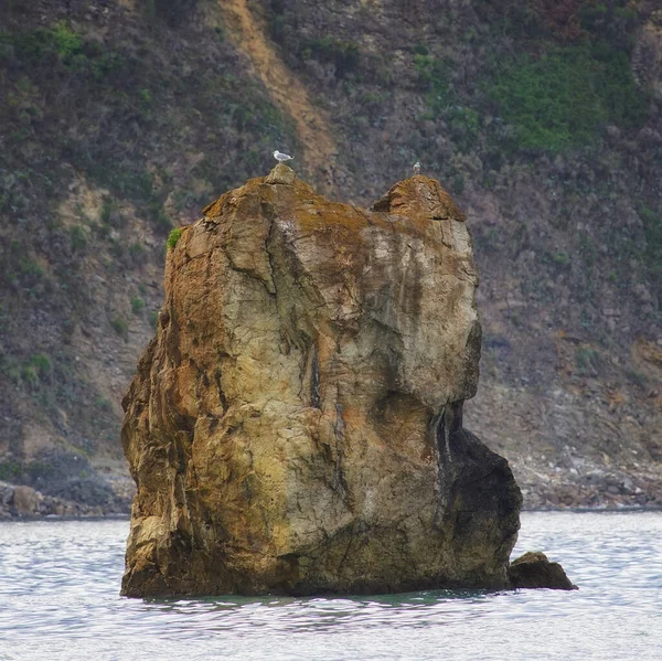 Belo Tiro Duas Gaivotas Empoleiradas Uma Enorme Formação Rochosa Mar — Fotografia de Stock