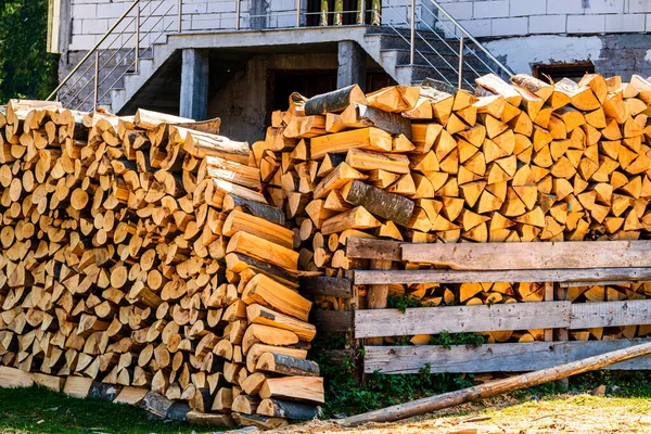 切り株と積層乾燥木材のクローズアップショット — ストック写真