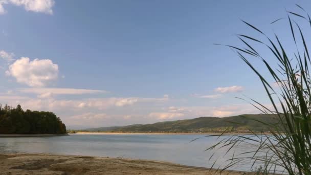 Prachtig Uitzicht Rivier — Stockvideo