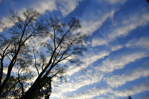 Shot Blue Sky Wavy Clouds — Stock Photo, Image