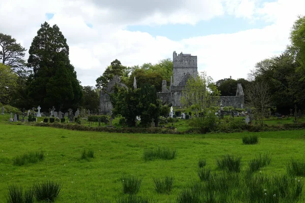 Scenic View Muckross Abbey Killarney National Park Ireland — Stock Photo, Image