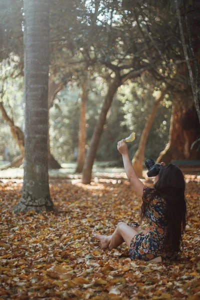 Bir Kadın Yapraklı Sonbahar Ormanında Yerde Otururken Elinde Kamerayla Sarı — Stok fotoğraf