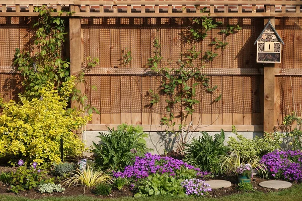 一个满是紫色花朵和一丛丛植物的后院 在一个木制篱笆前 篱笆上有一个鸟舍 — 图库照片