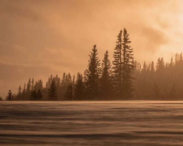 Zonsondergang Boven Het Sneeuwveld Bomen — Stockfoto