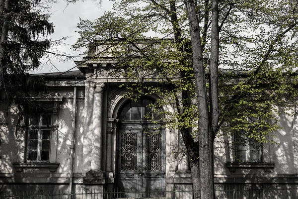 Hermoso Árbol Con Hojas Frescas Frente Edificio Vintage —  Fotos de Stock
