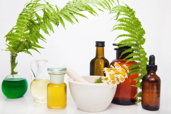 药瓶中的天然药物 碗中装有蕨类和洋甘菊 — 图库照片