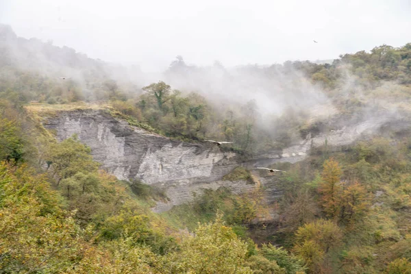 Une Belle Vue Sur Une Forêt Sur Rocher Avec Brouillard — Photo