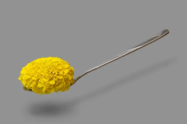 Primer Plano Una Flor Caléndula Amarilla Sobre Una Cuchara Acero —  Fotos de Stock