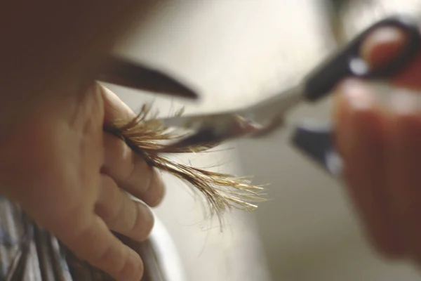 Tiro Close Fios Cabelo Sendo Cortado — Fotografia de Stock