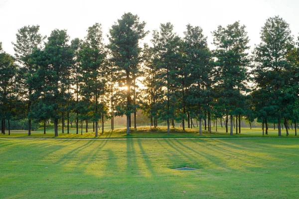 Een Groen Park Bij Zonsondergang — Stockfoto