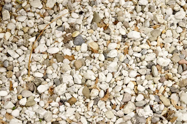 Una Vista Superior Variou Pequeñas Piedras Fondo — Foto de Stock