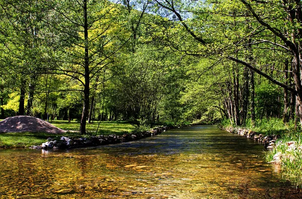 Río Tranquilo Que Fluye Través Del Bosque — Foto de Stock
