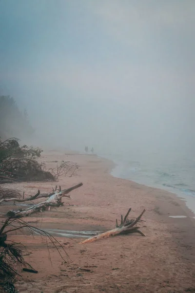 Vertical Shot Seashore Wood Dirt Beach Cold Rainy Day — Stock Photo, Image