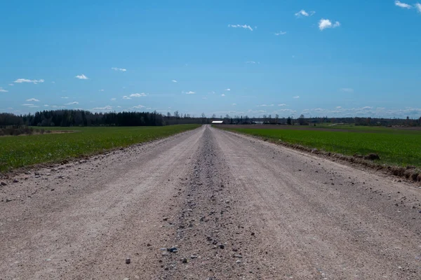 Uma Estrada Terra Vazia Através Campo Campo Grama — Fotografia de Stock