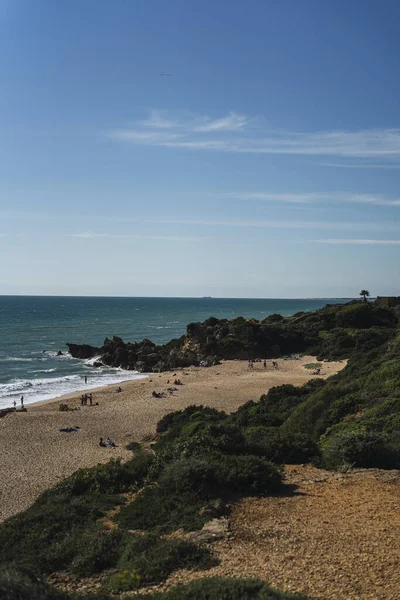 Tiro Aéreo Uma Praia Uma Área Verde — Fotografia de Stock