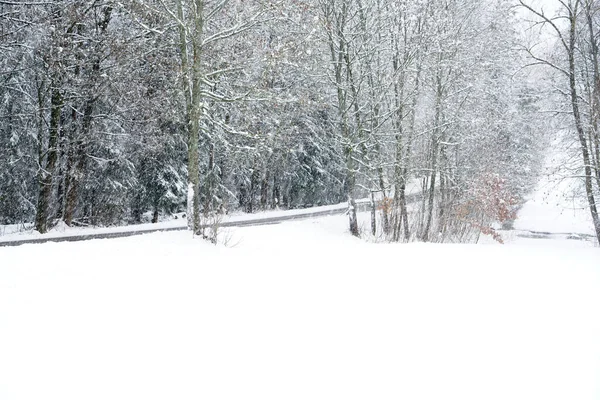 Tiro Perto Estrada Coberta Neve Floresta — Fotografia de Stock