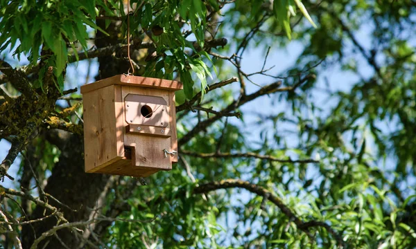 Wooden Bird House Tree Stock Photo