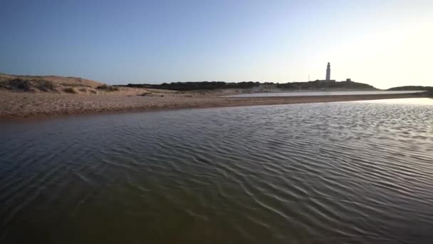 Eine Vertikale Aufnahme Eines Strandes Ozean — Stockvideo