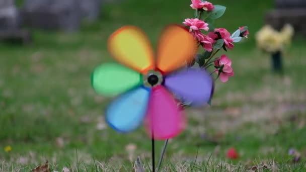 Colorful Pinwheel Lawn — Stock Video