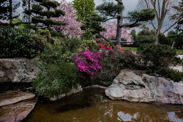 Bela Flora Colorida Jardim Japonês Dentro Nordpark Dusseldorf — Fotografia de Stock