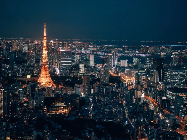 Een Betoverend Uitzicht Tokio Stadsgezicht Tokio Toren Nachts Japan — Stockfoto