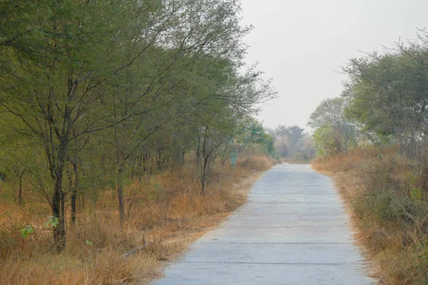 Aravali Bir Yol Çeşitlilik Biyoloji Parkı Gurgaon — Stok fotoğraf