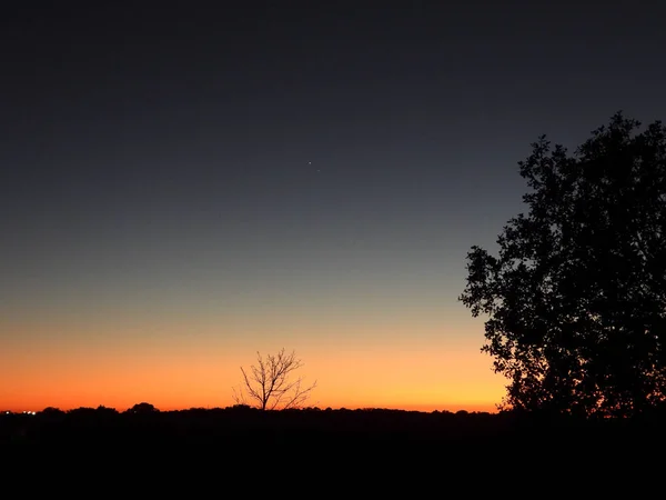 Ett Vackert Landskap Med Träd Den Hisnande Solnedgången Himlen — Stockfoto