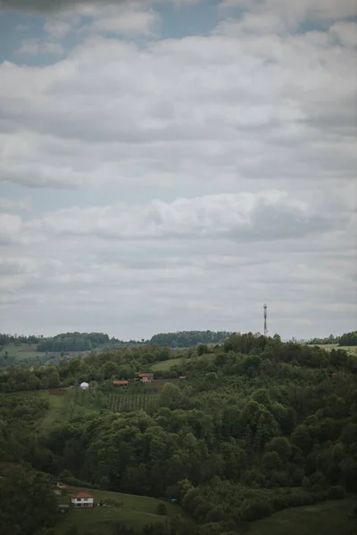 Tiro Vertical Céu Nublado Acima Árvores Grossas Uma Colina — Fotografia de Stock