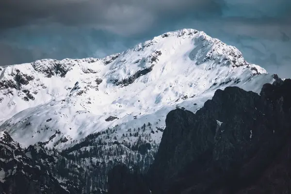 Krásná Scenérie Zasněžených Skalnatých Hor Pod Zataženou Oblohou — Stock fotografie