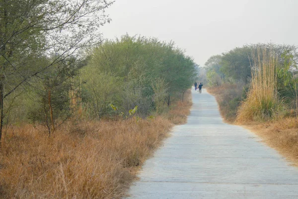 Дорога Aravali Diversity Bio Park Gurgaon — стокове фото
