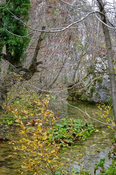 Tentativo Nel Parco Nazionale Dei Laghi Plitvice Croazia — Foto Stock