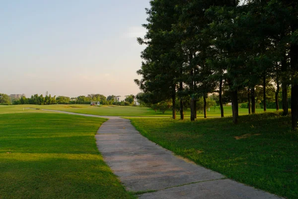 Beau Parc Verdoyant Avec Sentier Pavé Des Arbres Verts Sous — Photo