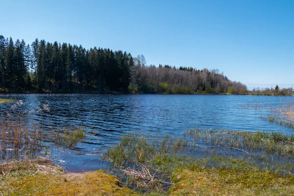 Eine Ruhige Szenerie Mit Einem Schönen See Umgeben Von Bäumen — Stockfoto