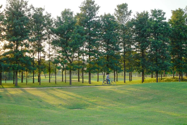 Una Vista Panorámica Hombre Montando Bicicleta Campo Verde Frondoso Rodeado —  Fotos de Stock