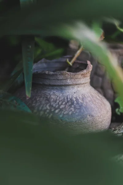 植物の間の古い壊れた粘土の花瓶の垂直ショット — ストック写真