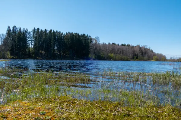 Spokojna Scena Pięknym Jeziorem Otoczonym Drzewami Pod Błękitnym Niebem — Zdjęcie stockowe