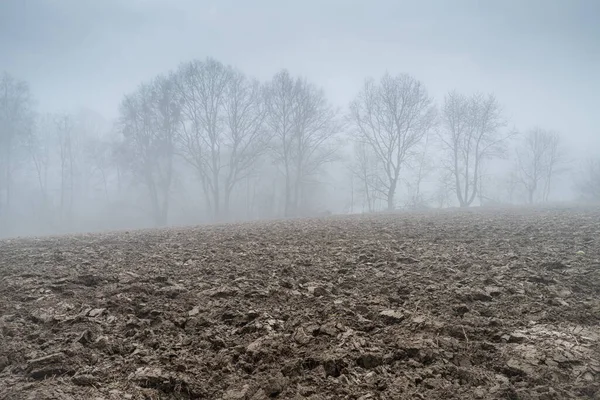 Scenic View Field Surrounded Bare Trees Covered Fog — 图库照片
