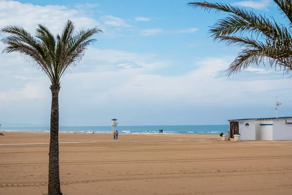 Scenic View Palm Trees Coast Clear Sky — Stock Photo, Image