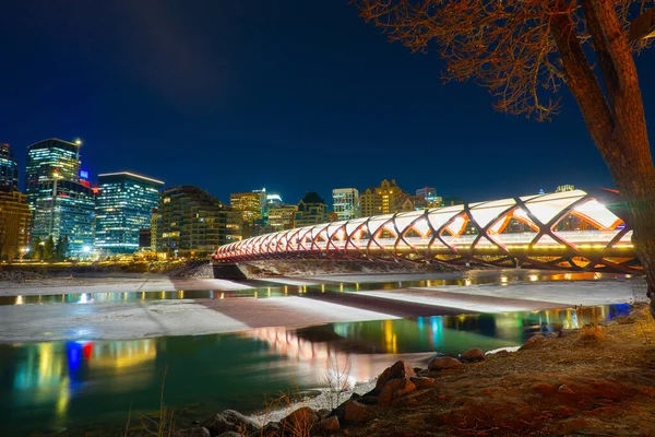 Park Wyspy Księcia Nocą Calgary Kanada — Zdjęcie stockowe