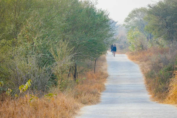 Hindistan Gurgaon Daki Aravali Çeşitlilik Biyolojik Parkı Nda Temiz Bir — Stok fotoğraf