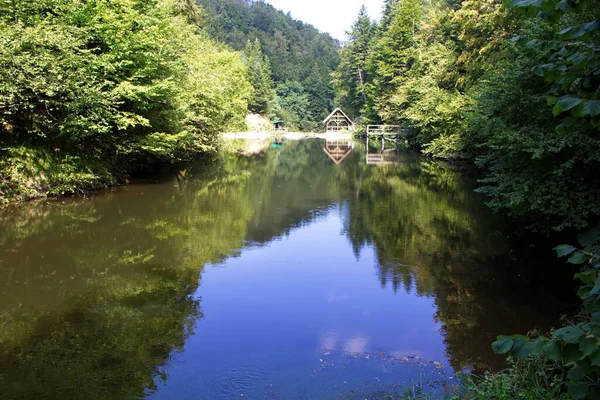 Klidné Jezero Obklopené Stromy Zalesněnými Horami — Stock fotografie